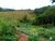 Sítio, 2 quartos, 25 hectares - Foto 3