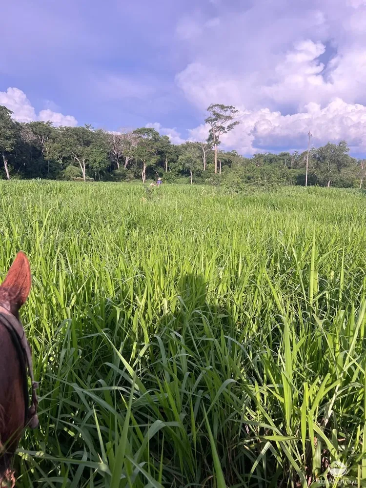 Fazenda, 348 hectares - Foto 1