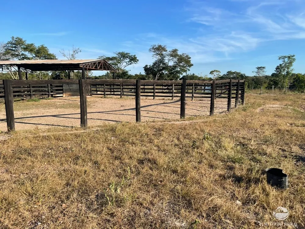 Fazenda, 348 hectares - Foto 2