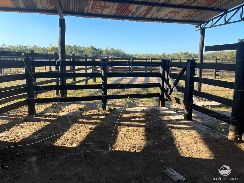 Fazenda, 348 hectares - Foto 8