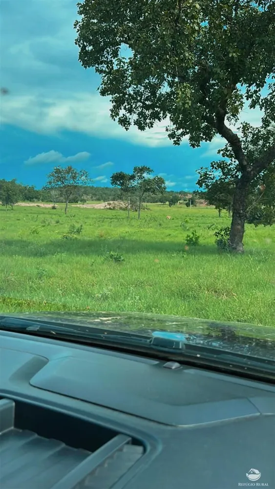 Fazenda, 348 hectares - Foto 6