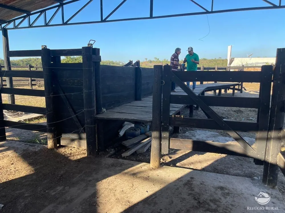 Fazenda, 348 hectares - Foto 7