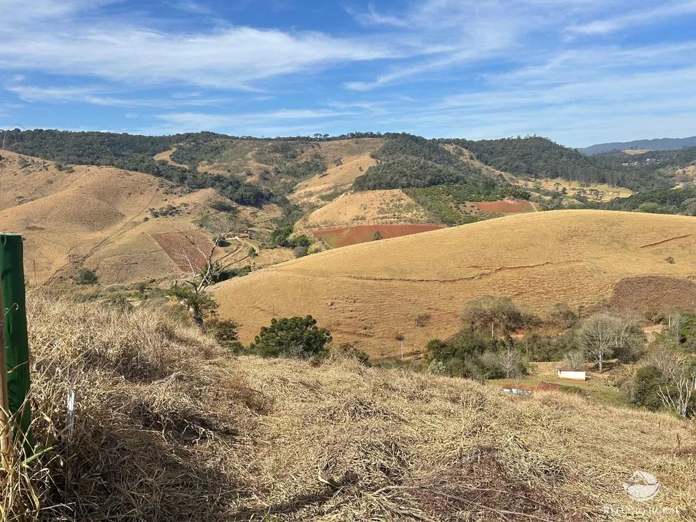 Terreno, 3 hectares - Foto 7
