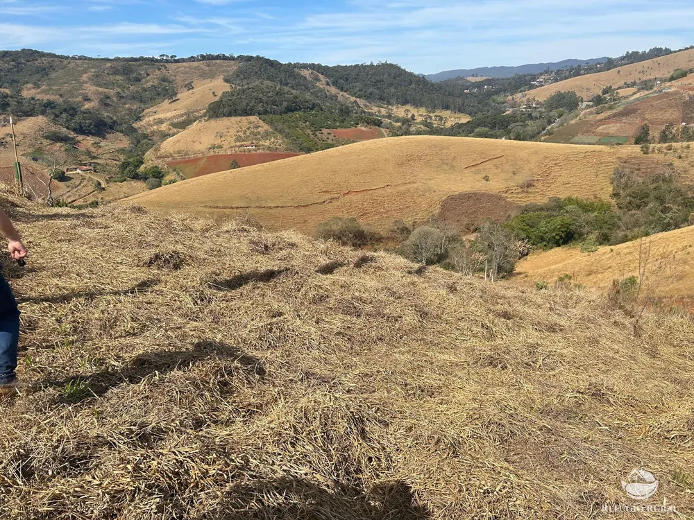 Terreno, 3 hectares - Foto 6