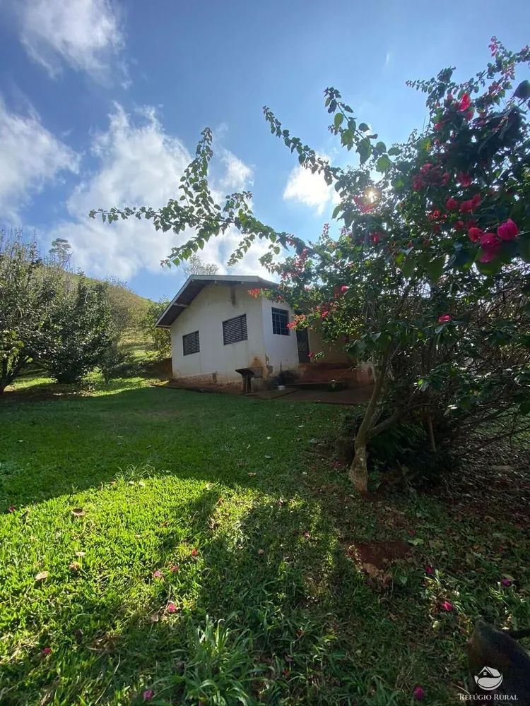 Terreno, 3 hectares - Foto 10