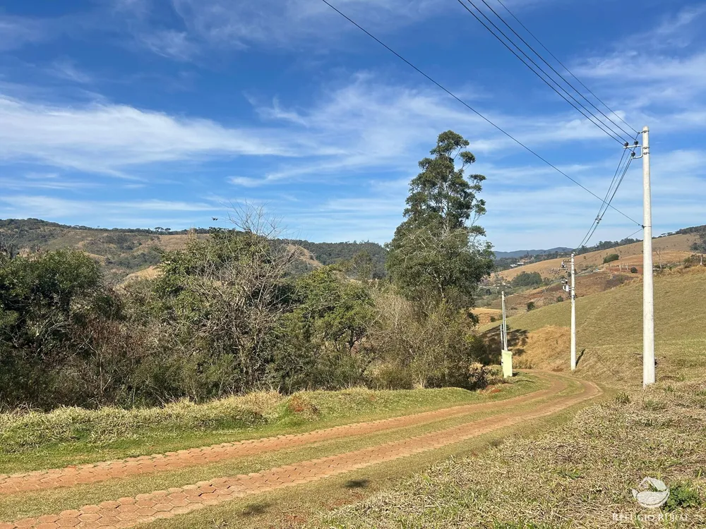Terreno, 3 hectares - Foto 3