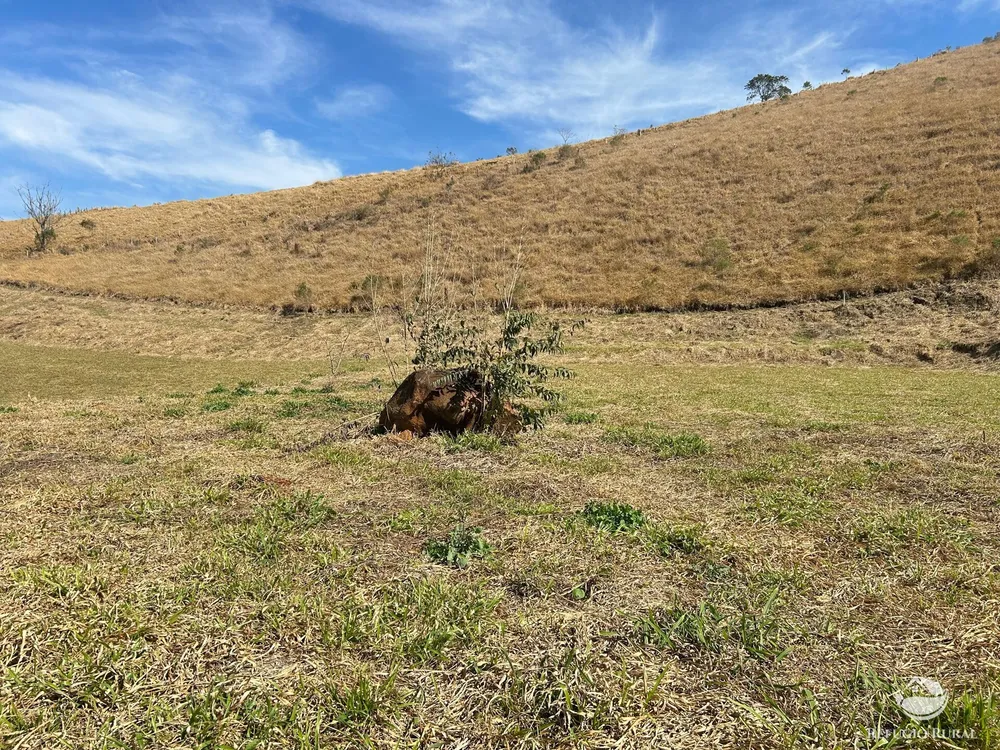 Terreno, 3 hectares - Foto 4