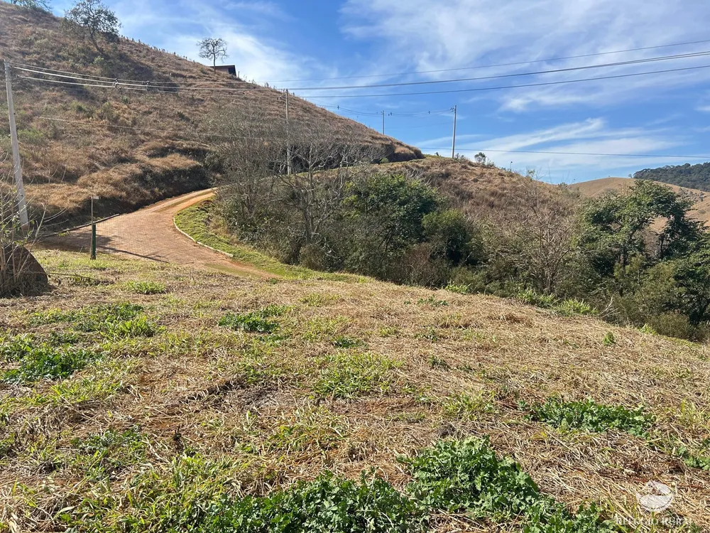 Terreno, 3 hectares - Foto 1