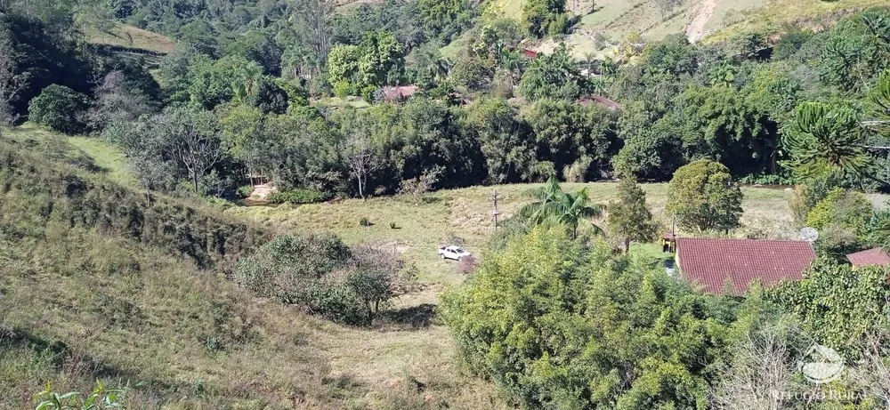 Sítio, 10 hectares - Foto 12