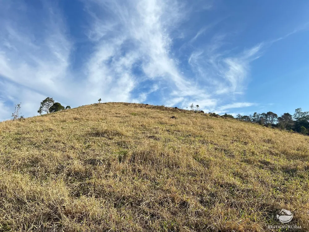 Terreno, 4 hectares - Foto 7