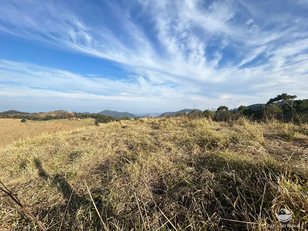 Terreno, 4 hectares - Foto 6