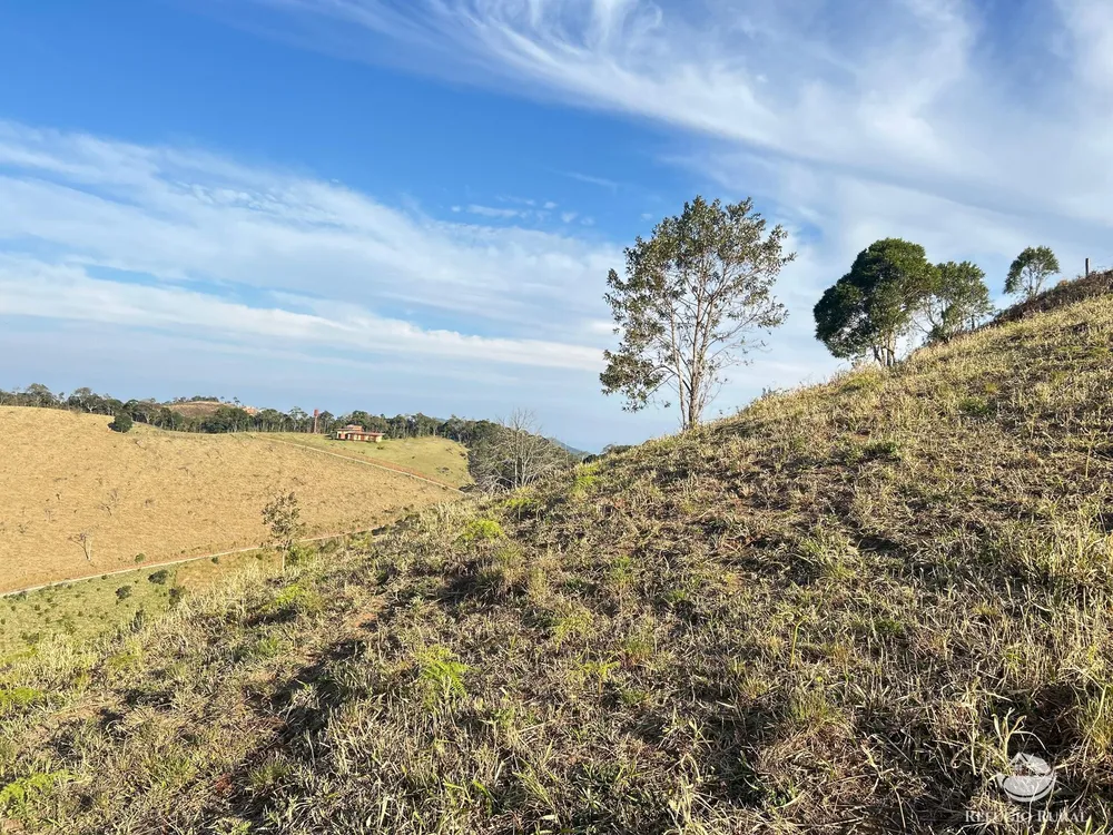 Terreno, 4 hectares - Foto 11