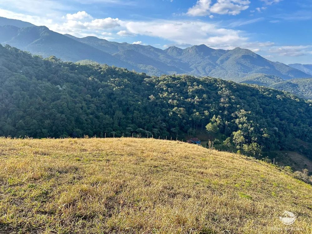 Terreno, 4 hectares - Foto 8