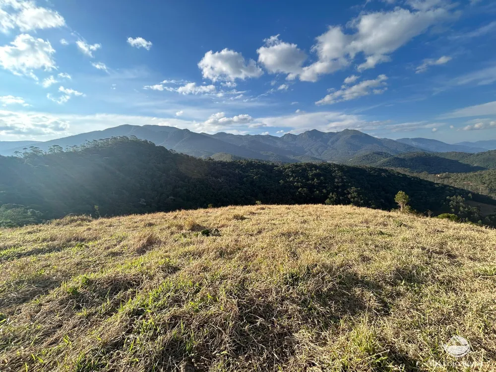 Terreno, 4 hectares - Foto 16