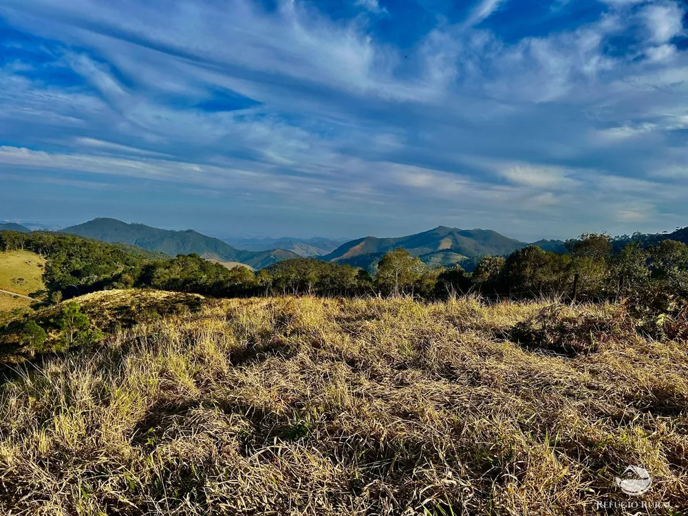 Terreno, 4 hectares - Foto 3