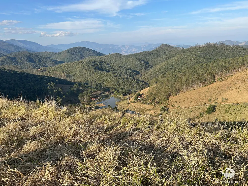 Terreno, 4 hectares - Foto 10