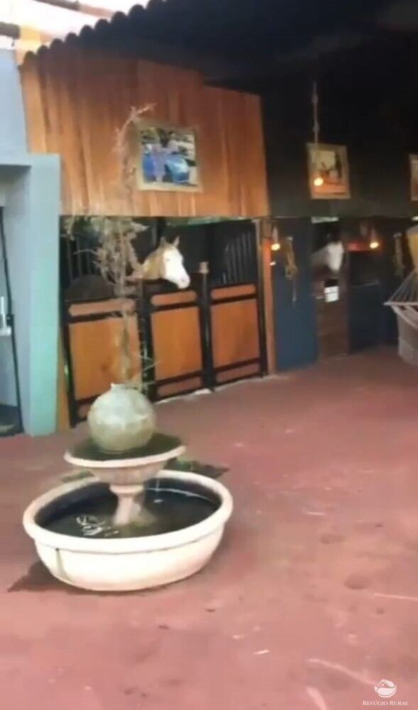 Fazenda-Sítio-Chácara, 5 hectares - Foto 11