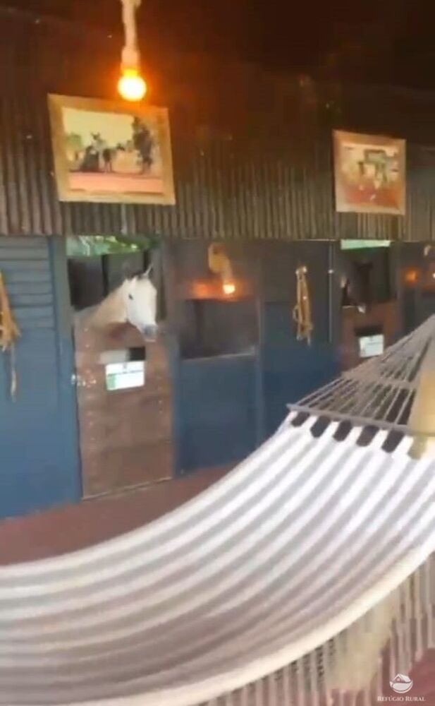 Fazenda-Sítio-Chácara, 5 hectares - Foto 12