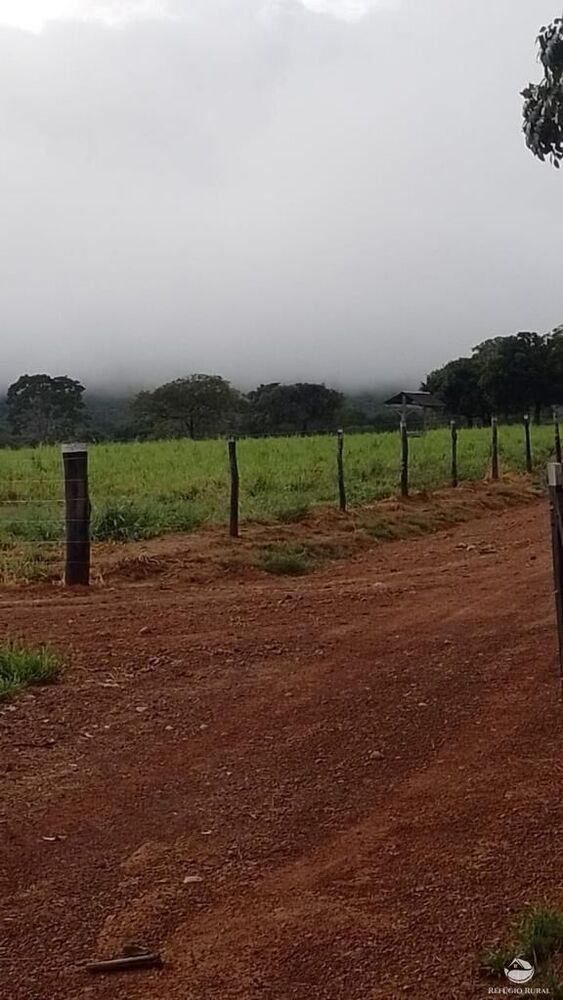Fazenda, 2030 hectares - Foto 2