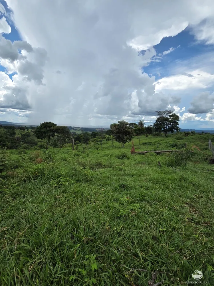Fazenda, 363 hectares - Foto 9