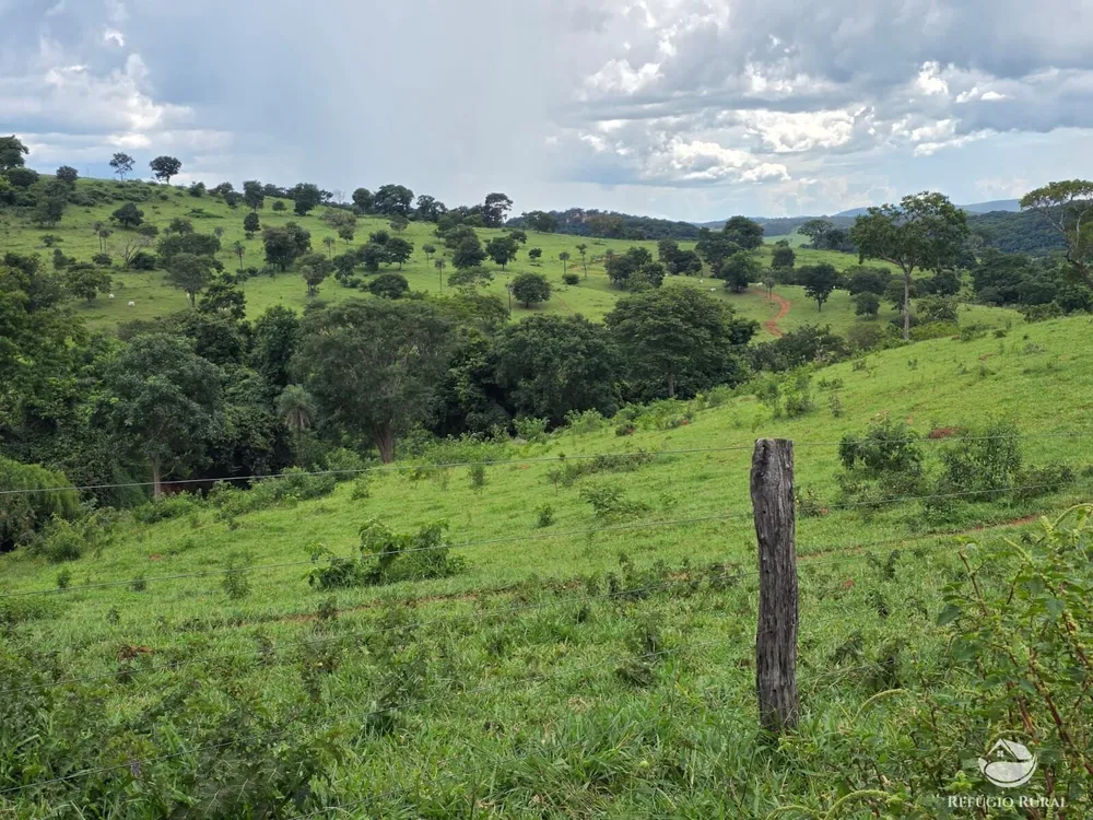 Fazenda, 363 hectares - Foto 10