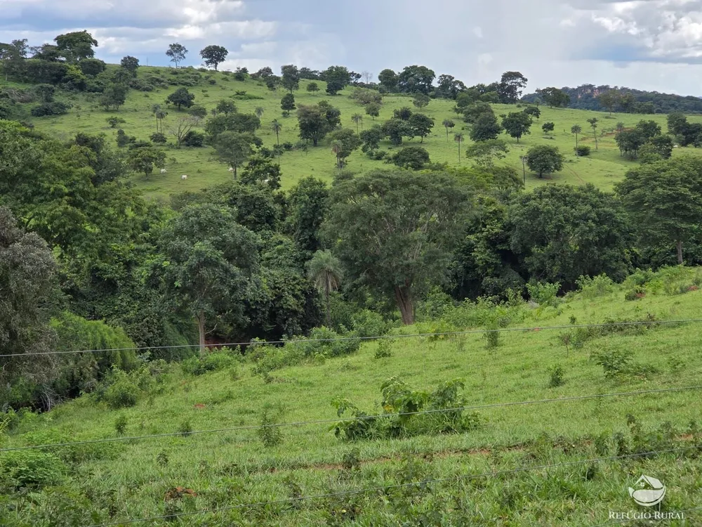 Fazenda, 363 hectares - Foto 8