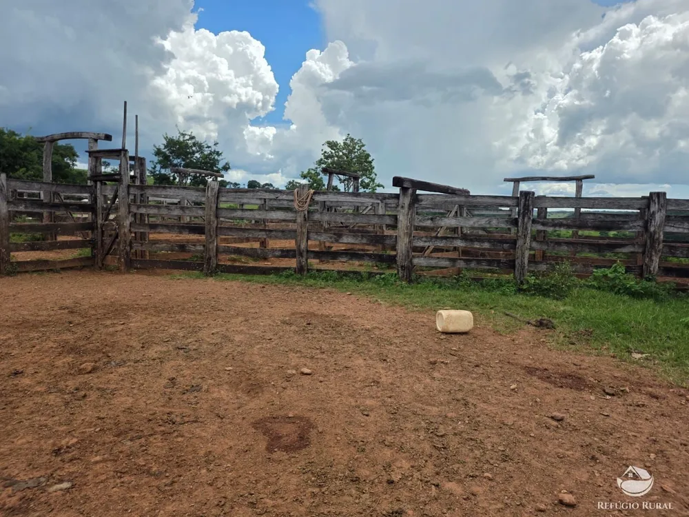 Fazenda, 363 hectares - Foto 5