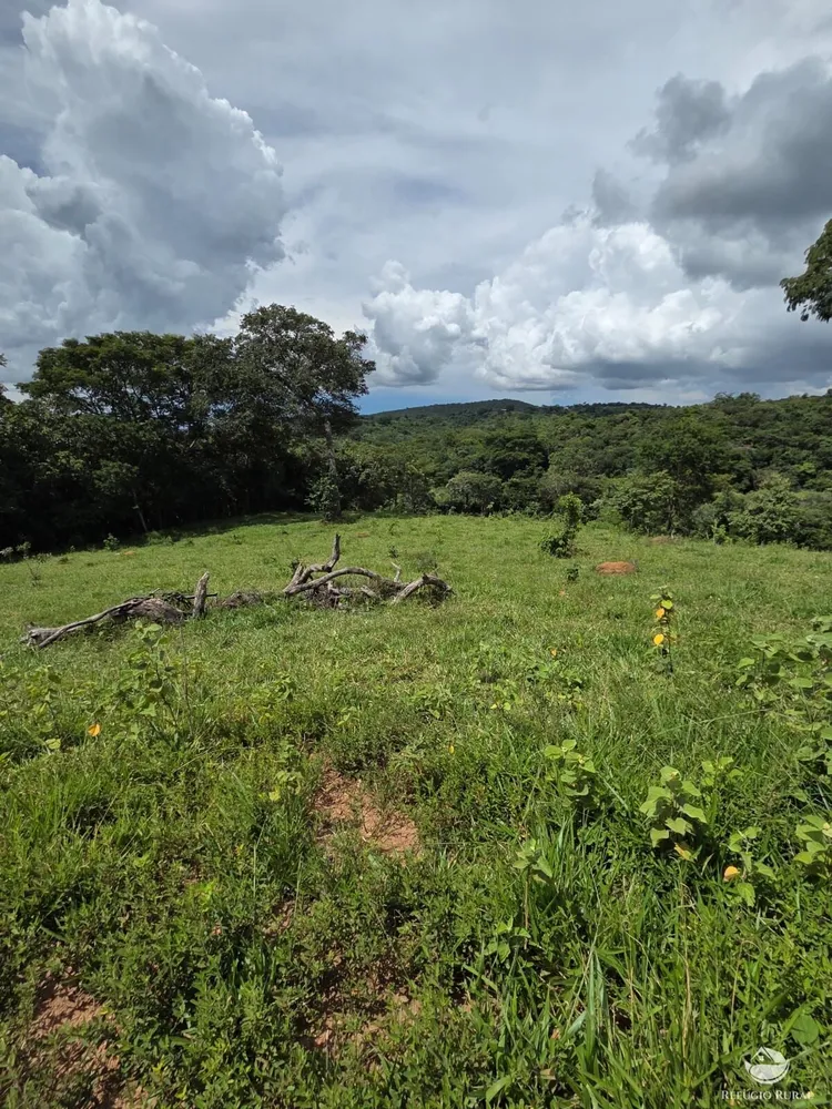 Fazenda, 363 hectares - Foto 12