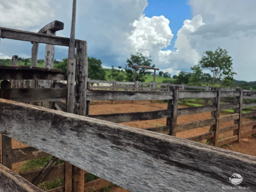 Fazenda, 363 hectares - Foto 6