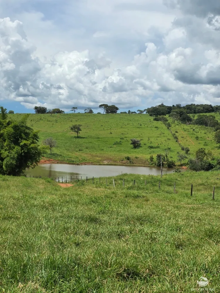 Fazenda, 363 hectares - Foto 3