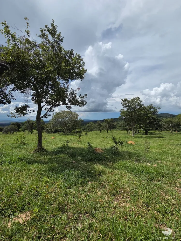 Fazenda, 363 hectares - Foto 2