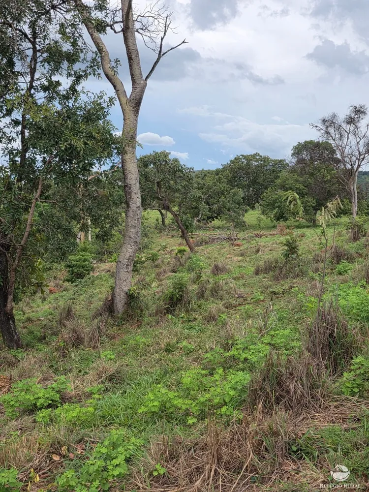 Fazenda, 363 hectares - Foto 7