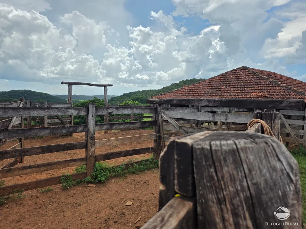 Fazenda, 363 hectares - Foto 11