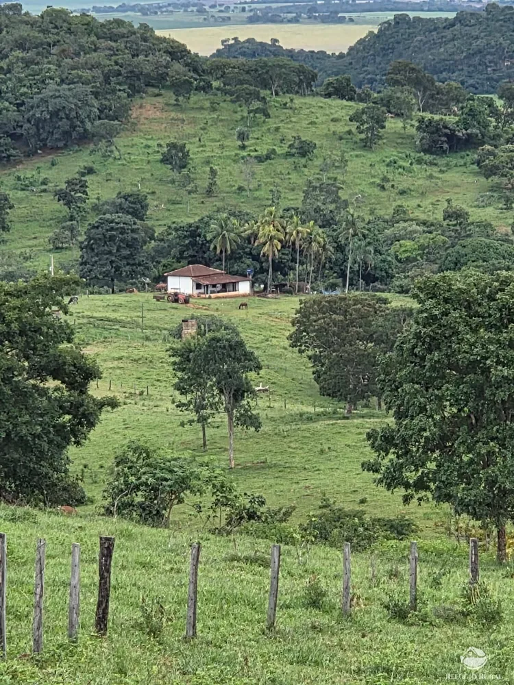 Fazenda, 363 hectares - Foto 1