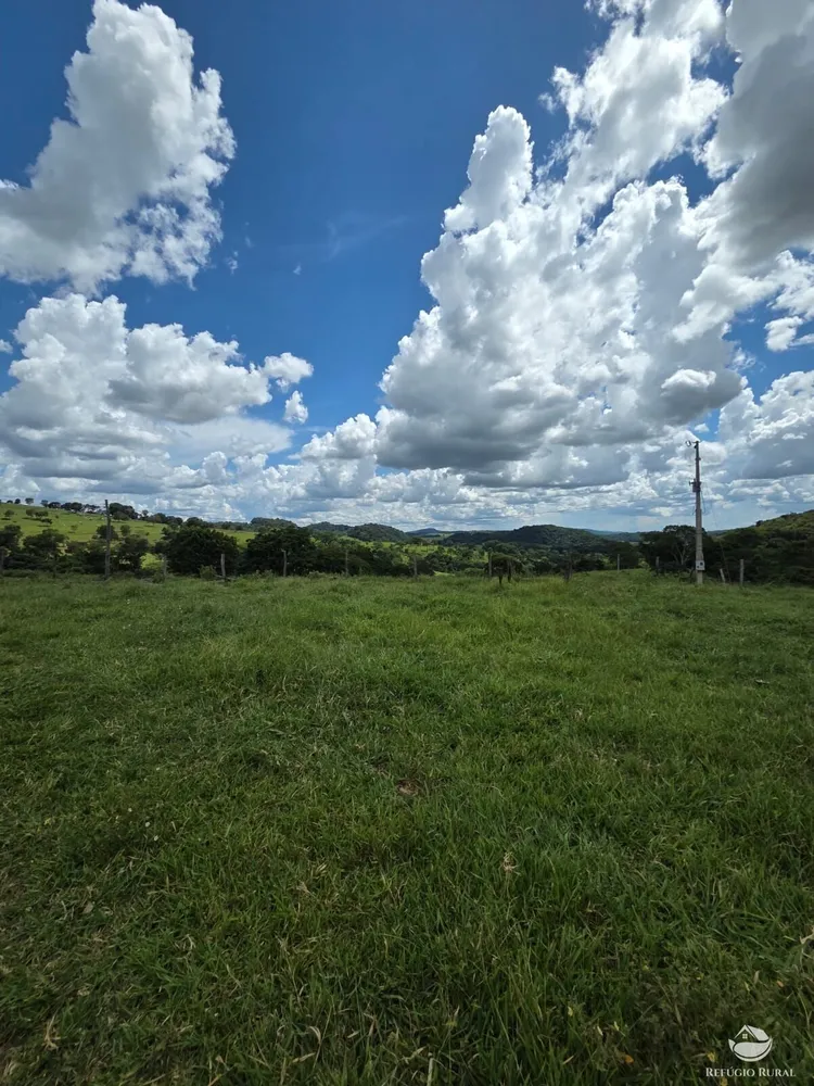 Fazenda, 363 hectares - Foto 4