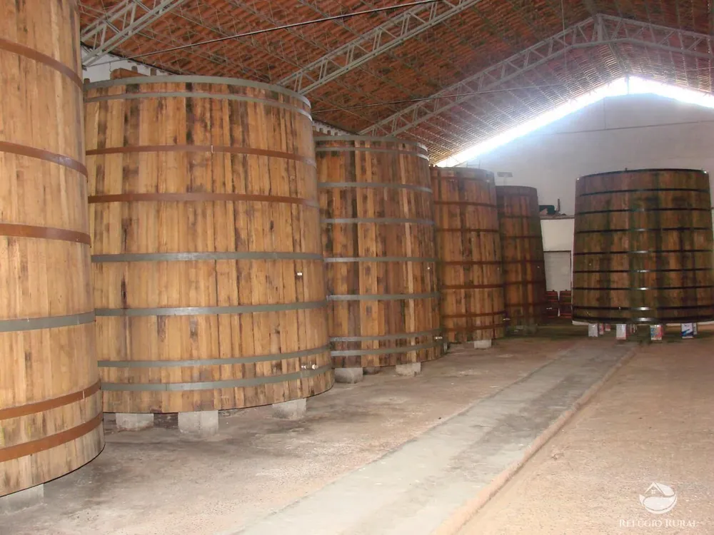 Fazenda, 8 hectares - Foto 1