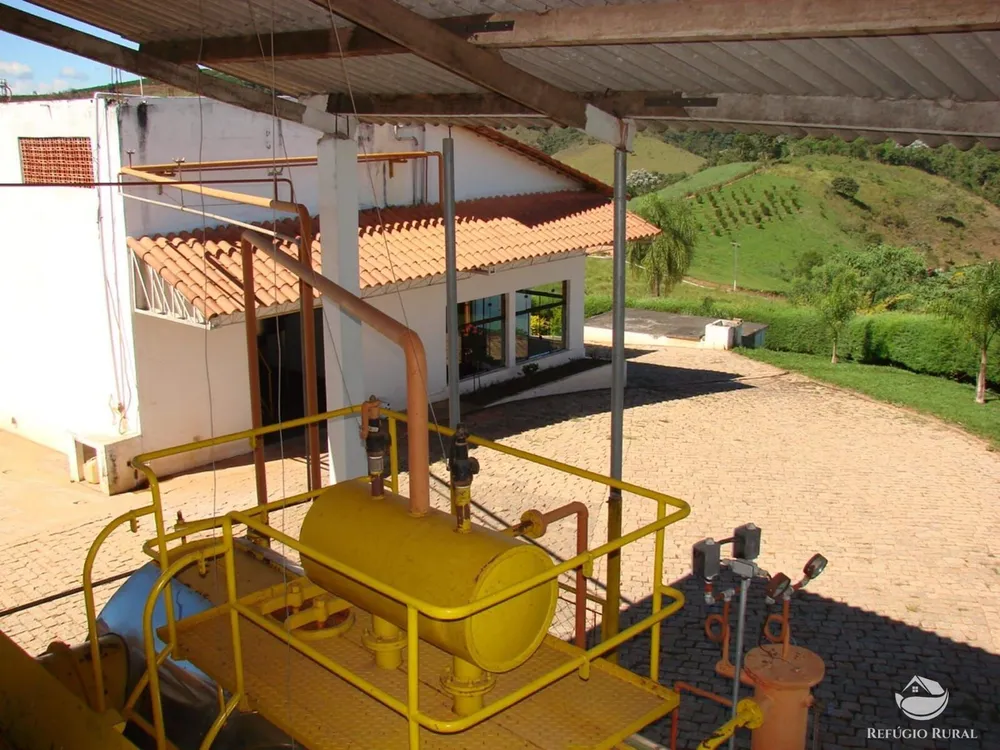 Fazenda, 8 hectares - Foto 14