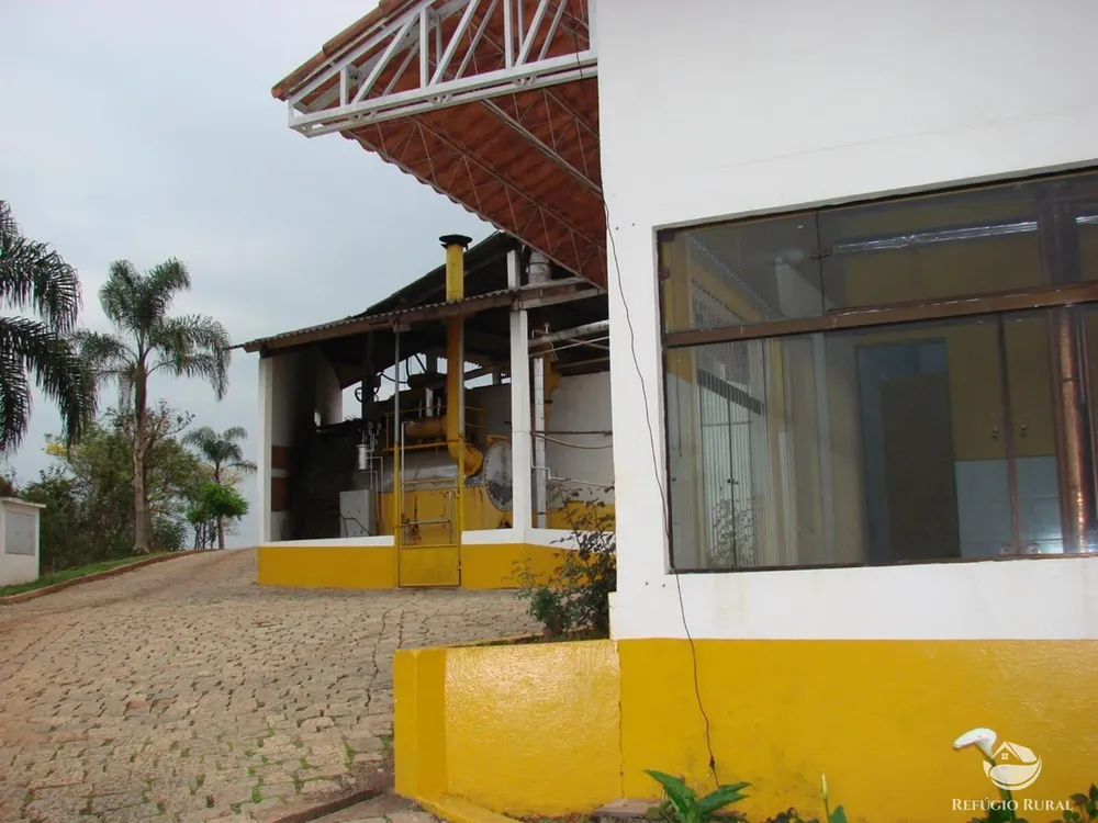 Fazenda, 8 hectares - Foto 12