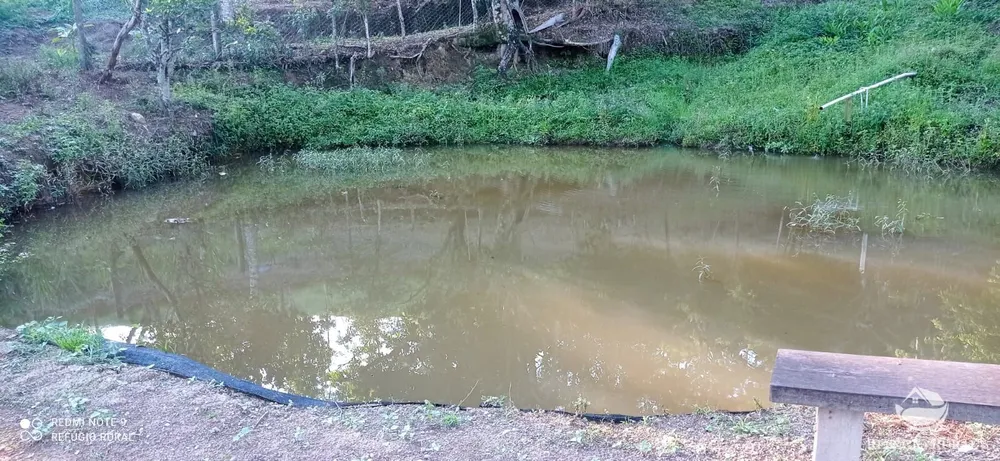 Chácara, 1 hectares - Foto 12