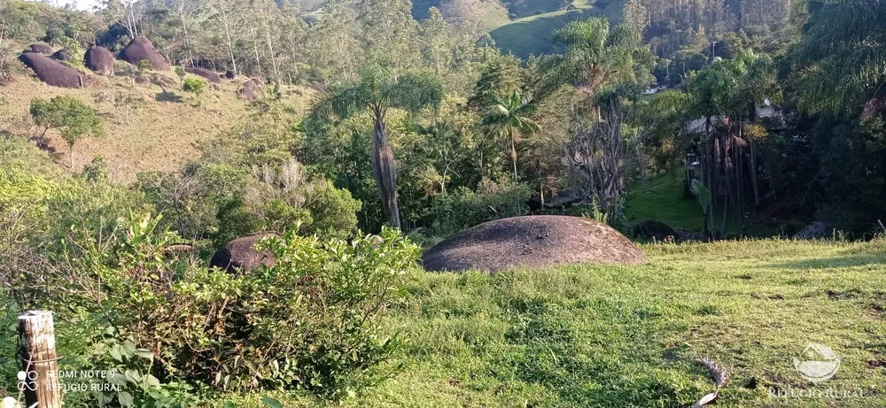 Chácara, 1 hectares - Foto 15