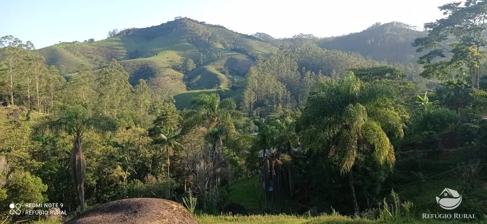 Chácara, 1 hectares - Foto 13