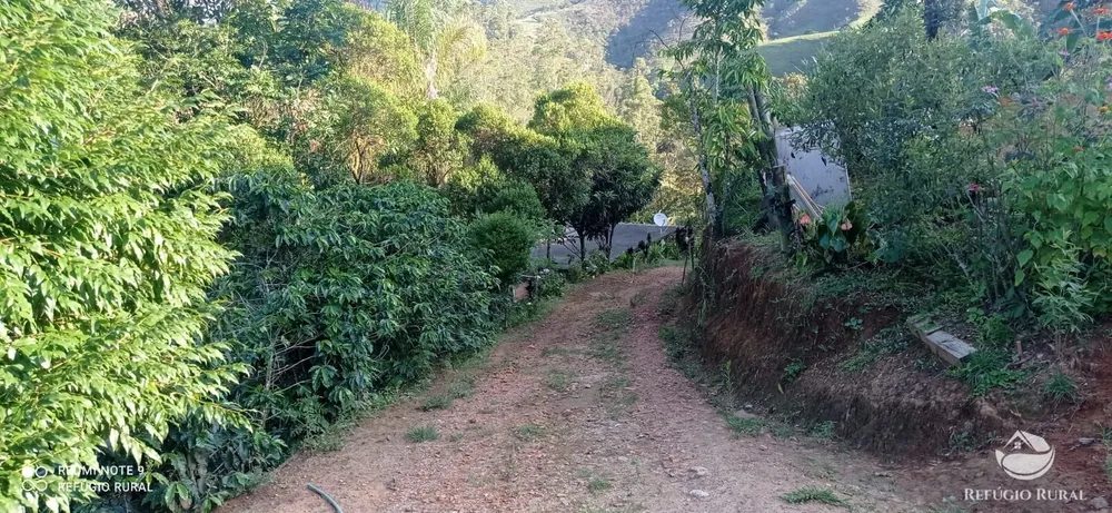 Chácara, 1 hectares - Foto 14