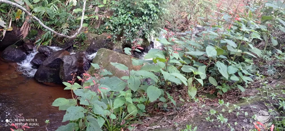 Chácara, 1 hectares - Foto 9