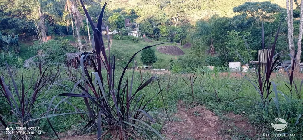 Chácara, 1 hectares - Foto 2
