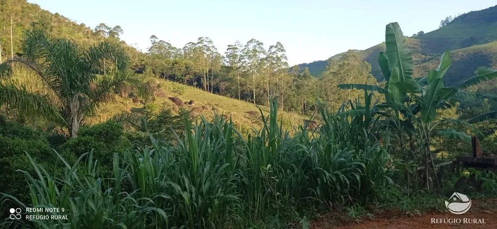 Chácara, 1 hectares - Foto 1