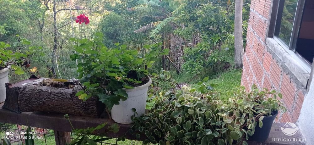 Chácara à venda com 1 quarto, 11000m² - Foto 1