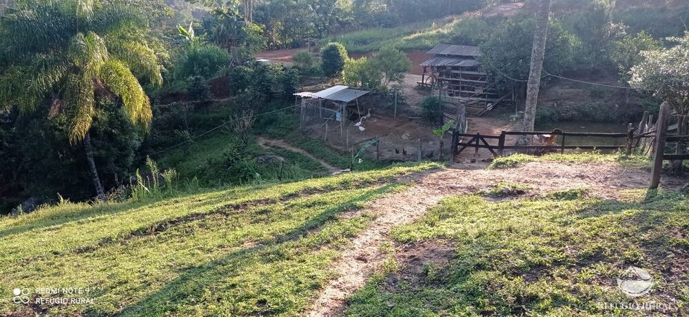 Chácara à venda com 1 quarto, 11000m² - Foto 4