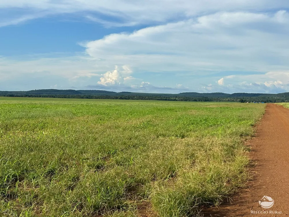 Fazenda, 1404 hectares - Foto 8