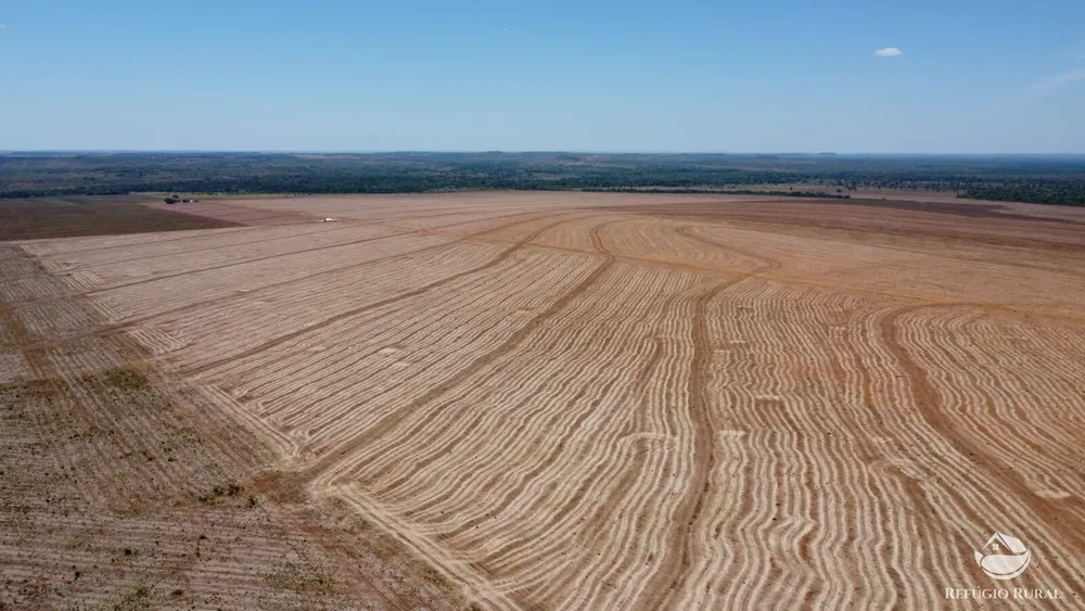 Fazenda, 1404 hectares - Foto 10