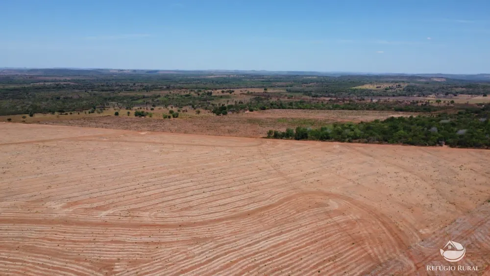 Fazenda, 1404 hectares - Foto 12